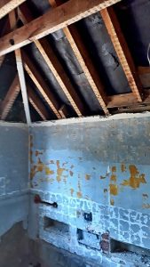 Woodworm Treatment